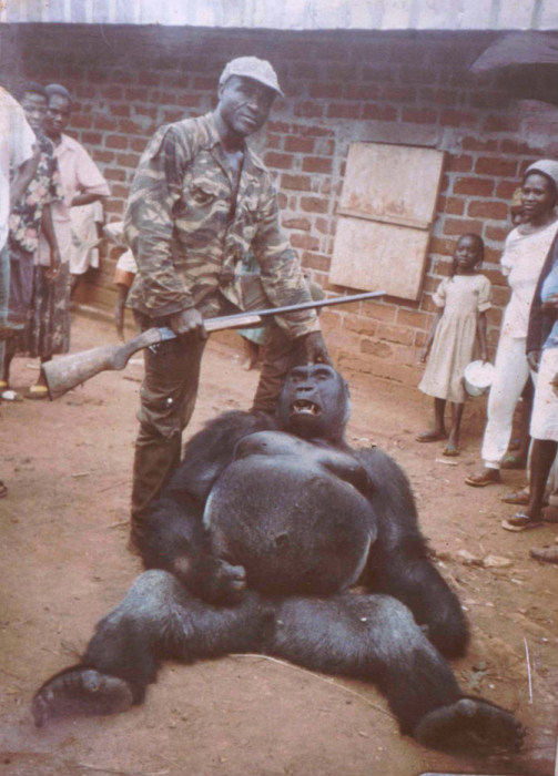 cameroon_enforcement_1_38_real.jpg